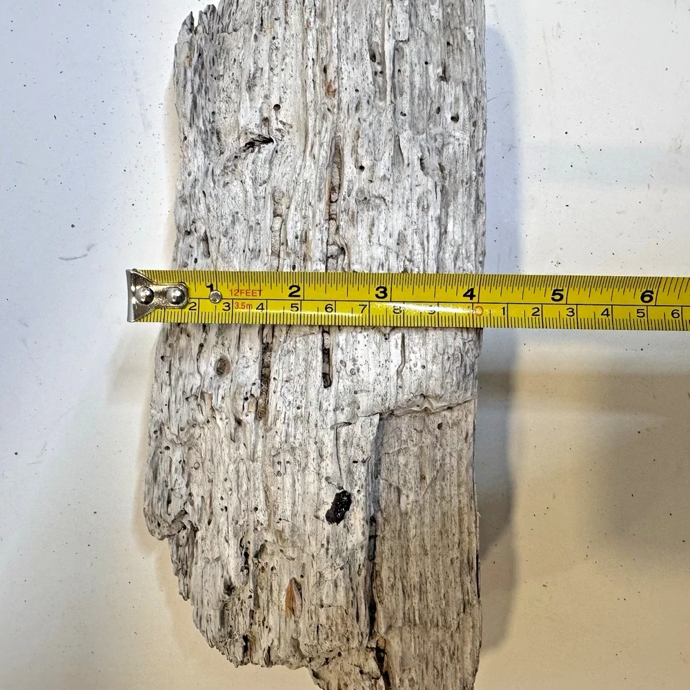 California Coast Natural Driftwood for Crafts, Decor White Rustic 11x4” 1.35